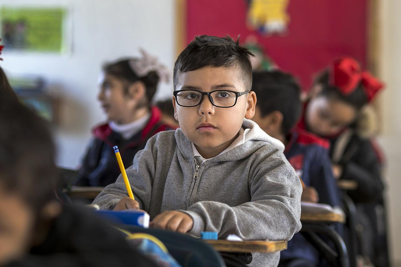 Schools and early intervention